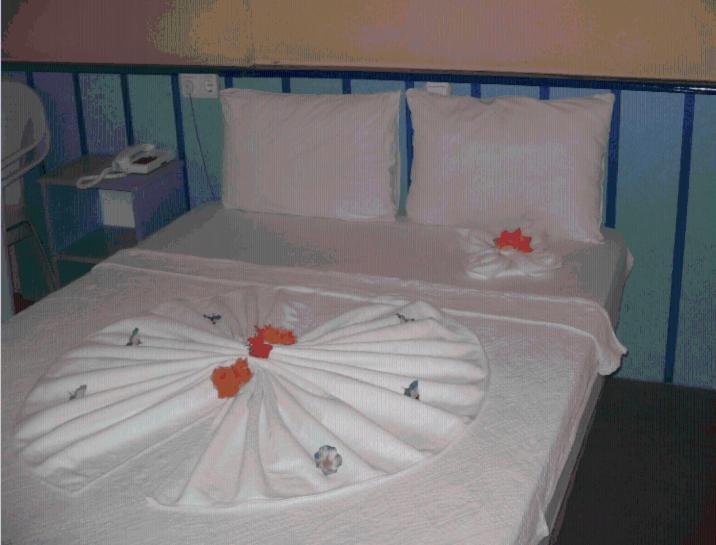 Pamukkale Hotel Дидим Номер фото